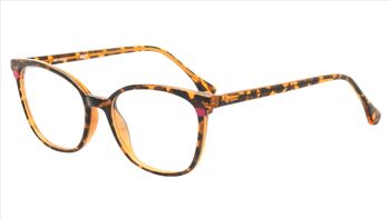 Lunette de la marque ALTERNANCE