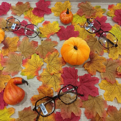 Actualité optique opticien : Automne