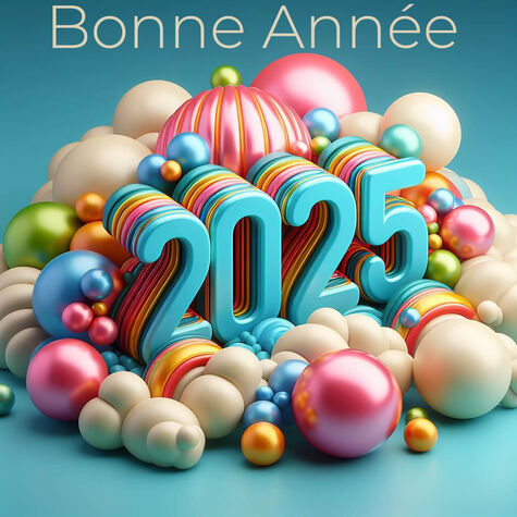 Image actualité BONNE ANNÉE 2025 !!